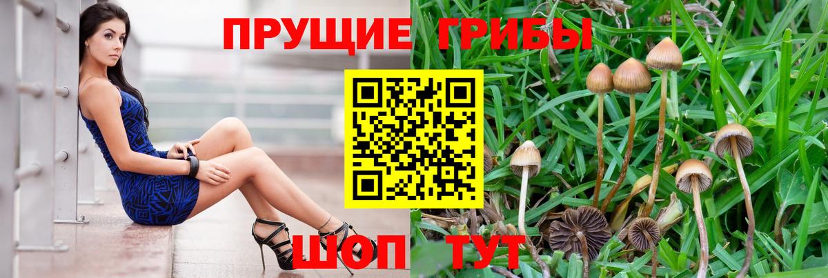 Псилоцибиновые грибы мухоморы Гудермес